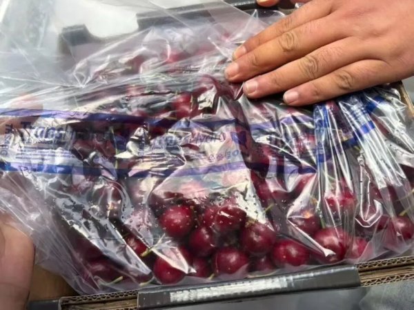 赤盈配资 价格暴跌，商家：预计还要降